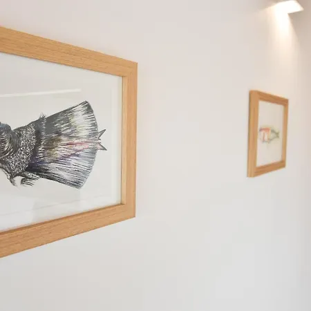 Charmosa Penthouse 2 Quartos - Batalha - - N